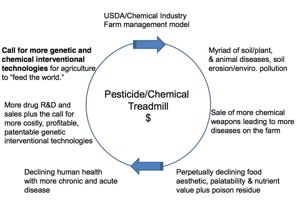 http://www.agemed.org/Portals/0/images/ejournal/GMO-Treadmill.jpg