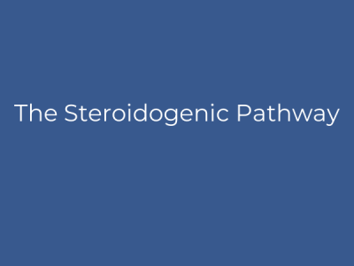 The Steroidogenic Pathway